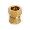 Homeplus+ ATC 7/8 in. Compression X 3/4 in. D FPT Brass Coupling 6JC120110701044 - alternate 2